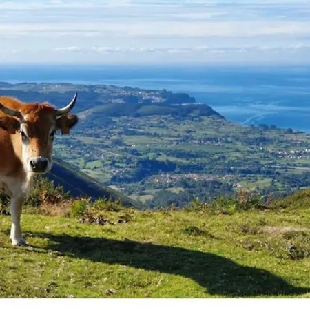 Сasa de vacaciones Casa Todah, Playas Y Montanas Duesos
